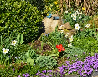 Frühling (2)_HD.JPG