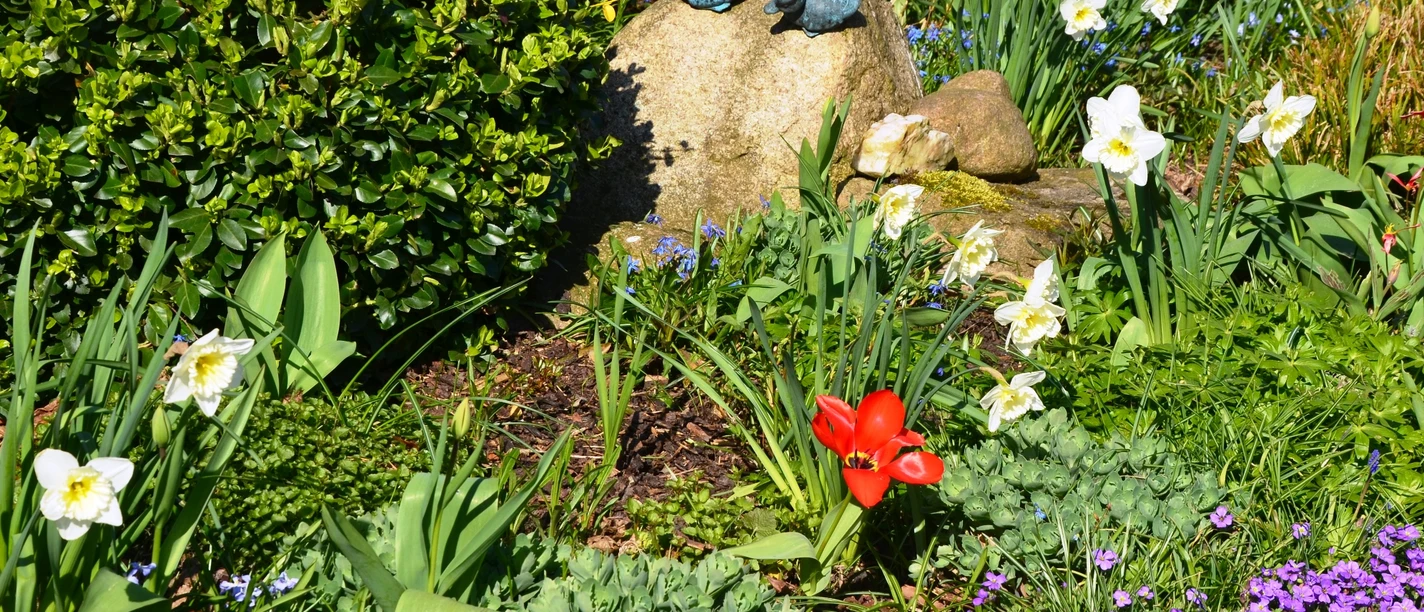 Frühling (2)_HD.JPG