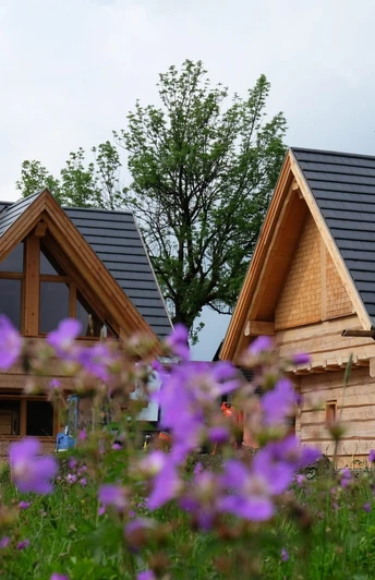 die ausspanne in Buntenbock - Ferienhäuser