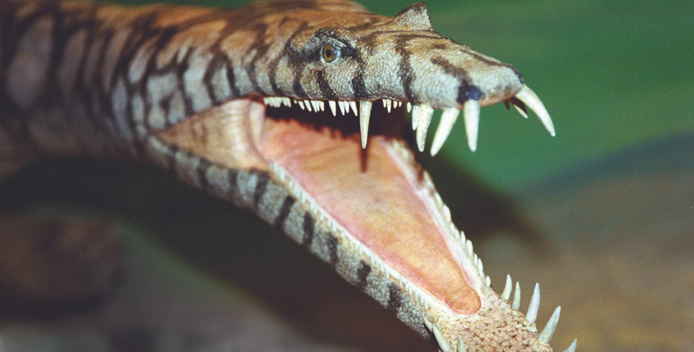 04 Nothosaurus mirabilis.jpg