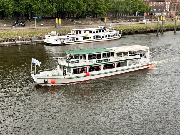 MS "Stadt Verden" Ausflugsschiff mit grünem Dach und roten Fendern fährt unter Bäumen auf einem Fluss entlang.