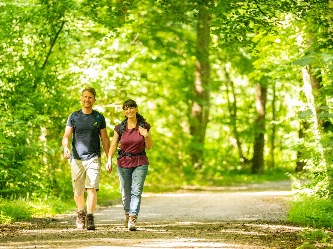 Wandern auf dem Hansaweg Wandern auf dem Hansaweg