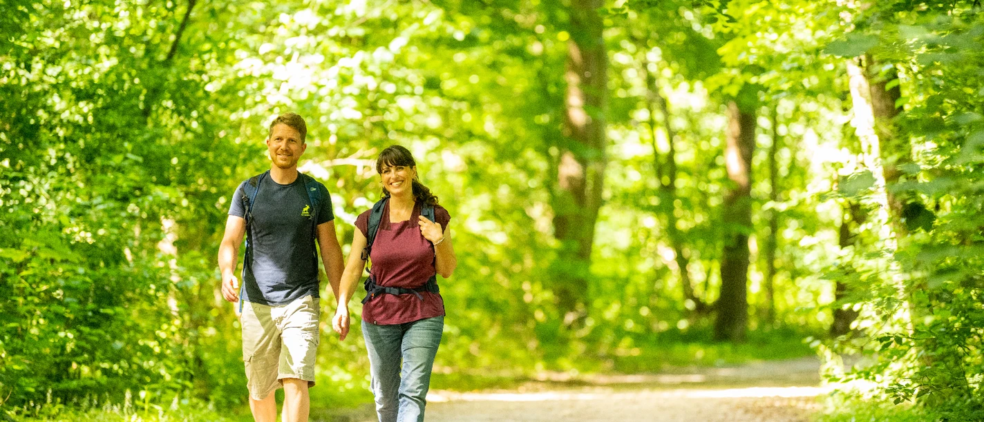 Wandern auf dem Hansaweg Wandern auf dem Hansaweg