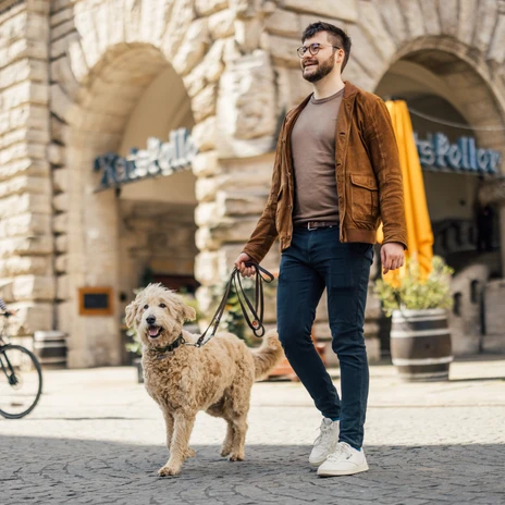 Ein Mann läuft mit einem weißen Hund an der Leine über den Burgplatz in LeipzigA man walks across Burgplatz in Leipzig with a white dog on a leashMuž s bílým psem na vodítku kráčí po lipském náměstí Burgplatz.Mężczyzna spaceruje po Burgplatz w Lipsku z białym psem na smyczyEen man loopt over de Burgplatz in Leipzig met een witte hond aan de lijnUn uomo attraversa la Burgplatz di Lipsia con un cane bianco al guinzaglio
