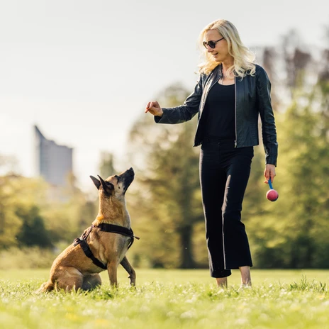 Eine Frau trainiert mit ihrem Hund Befehle auf der Hundewiese im Rosental LeipzigA woman trains commands with her dog on the dog meadow in Rosental LeipzigŽena trénuje povely se svým psem na psí louce v Rosentalu v Lipsku.Kobieta trenuje komendy ze swoim psem na psiej łące w Rosental LeipzigEen vrouw traint commando's met haar hond op de hondenweide in Rosental LeipzigUna donna addestra i comandi con il suo cane nel prato per cani di Rosental Leipzig