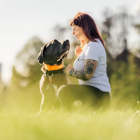 Auf einer Wiese im Rosental in Leipzig kniet eine Frau neben ihrem Hund und schaut ihm in die AugenOn a meadow in Rosental in Leipzig, a woman kneels next to her dog and looks him in the eyeNa louce Rosental v Lipsku klečí žena vedle svého psa a dívá se mu do očí.Na łące w Rosental w Lipsku kobieta klęczy obok swojego psa i patrzy mu w oczyOp een weiland in Rosental in Leipzig knielt een vrouw naast haar hond en kijkt hem in de ogenIn un prato di Rosental, a Lipsia, una donna si inginocchia accanto al suo cane e lo guarda negli occhi.
