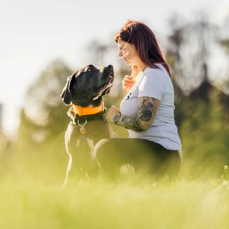 Hundewiese im Rosental - Urlaub mit Hund in Leipzig
