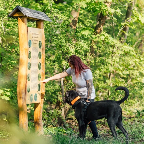 Eine Frau steht mit ihrem Hund im dicht begrünten Rosental in Leipzig vor einer Infotafel und zeigt daraufA woman stands with her dog in front of an information board in the densely green Rosental in Leipzig and points to itŽena stojí se svým psem před informační tabulí v lipské listnaté čtvrti Rosental a ukazuje na ni.Kobieta stoi ze swoim psem przed tablicą informacyjną w zielonej dzielnicy Rosental w Lipsku i wskazuje na niąEen vrouw staat met haar hond voor een informatiebord in de lommerrijke wijk Rosental in Leipzig en wijst ernaar.Una donna si trova con il suo cane davanti a un tabellone informativo nel verdeggiante quartiere Rosental di Lipsia e lo indica