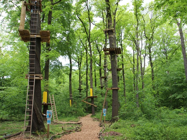 Königstein klimbos met hoge platforms en ladders op bomen, omgeven door dicht groen gebladerte; rustige en avontuurlijke sfeer.