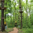 Kletterwald Königstein Kletterwald Königstein mit hohen Plattformen und Leitern an Bäumen, umgeben von dichtem grünen Laub; ruhige und abenteuerliche Atmosphäre.