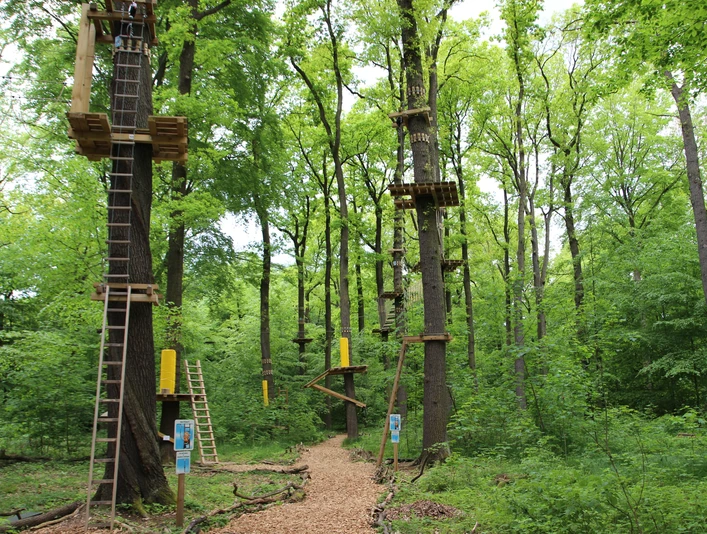 Kletterwald Königstein Kletterwald Königstein mit hohen Plattformen und Leitern an Bäumen, umgeben von dichtem grünen Laub; ruhige und abenteuerliche Atmosphäre.