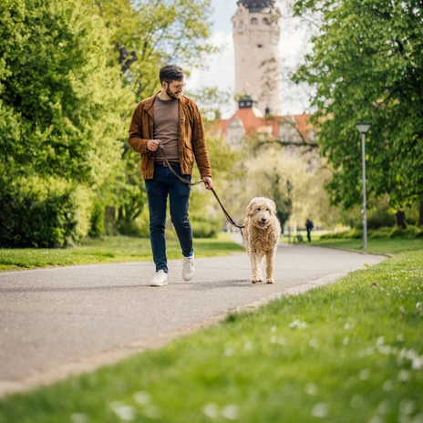 Ein Mann geht mit seinem Hund an der Leine im Johannapark in der Leipziger Innenstadt spazieren, während im Hintergrund das Neue Rathaus zu sehen istA man walks his dog on a leash in the Johannapark in Leipzig's city center, while the New City Hall can be seen in the backgroundMuž venčí svého psa na vodítku v parku Johannapark v centru Lipska, v pozadí je vidět Nová radnice.Mężczyzna spaceruje z psem na smyczy w parku Johannapark w centrum Lipska, w tle widoczny jest Nowy Ratusz.Een man laat zijn hond uit in het Johannapark in het centrum van Leipzig, met het nieuwe stadhuis op de achtergrond.Un uomo porta a spasso il suo cane al guinzaglio nel Johannapark, nel centro di Lipsia, con il Nuovo Municipio visibile sullo sfondo