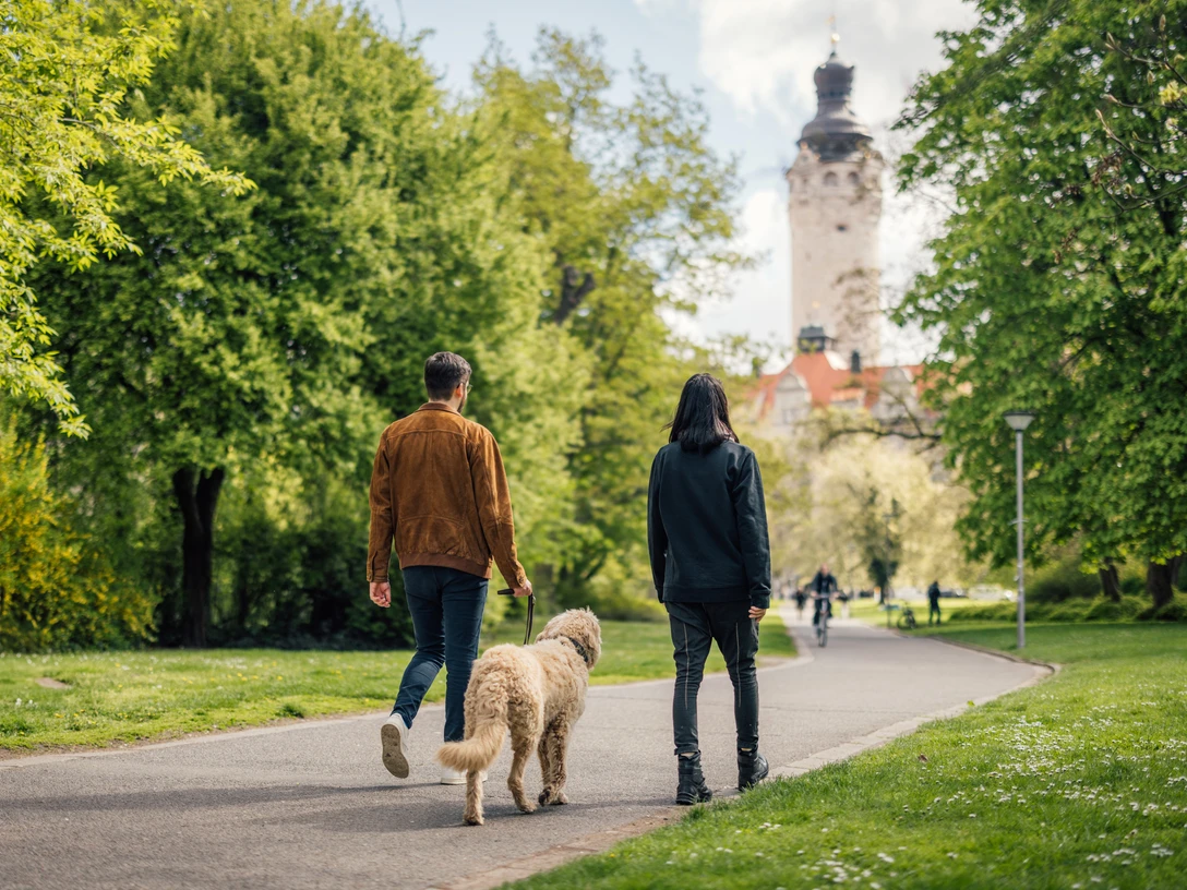 Spaziergang im Johannapark - Urlaub mit Hund in Leipzig Ein Mann und eine Frau gehen gemeinsam mit ihrem Hund im Johannapark in der Leipziger Innenstadt spazieren und laufen in Richtung Neues Rathaus