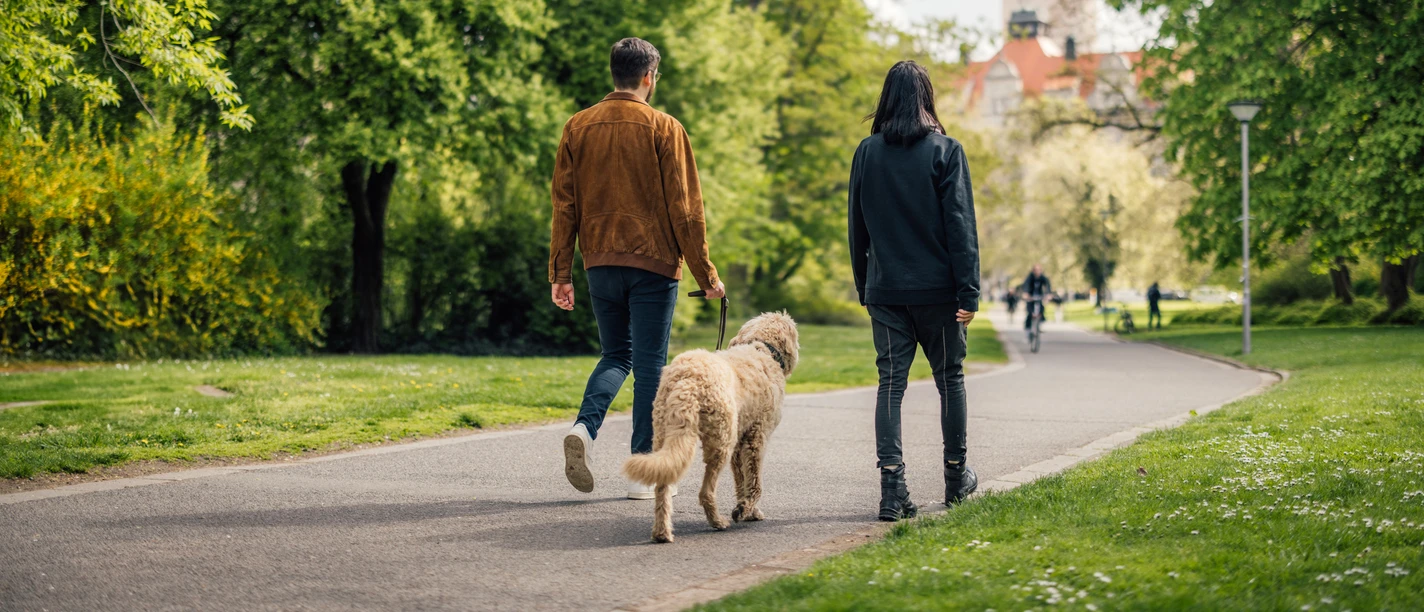 Spaziergang im Johannapark - Urlaub mit Hund in Leipzig Ein Mann und eine Frau gehen gemeinsam mit ihrem Hund im Johannapark in der Leipziger Innenstadt spazieren und laufen in Richtung Neues Rathaus