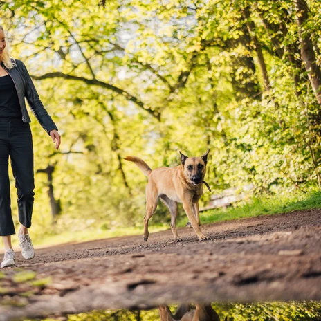 Im Leipziger Rosental geht eine Frau mit ihrem Hund spazieren und schaut ihn dabei lächelnd anIn Leipzig's Rosental valley, a woman walks her dog and looks at him with a smileV lipském údolí Rosental venčí žena svého psa a s úsměvem se na něj dívá.W lipskiej dolinie Rosental kobieta wyprowadza swojego psa i patrzy na niego z uśmiechemIn het Rosental in Leipzig laat een vrouw haar hond uit en kijkt hem glimlachend aanNella valle Rosental di Lipsia, una donna porta a spasso il suo cane e lo guarda sorridendo