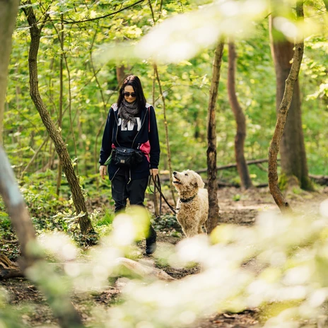Eine Frau geht mit ihrem Hund im dicht begrünten Rosental in Leipzig spazieren und der Hund schaut sie dabei ganz interessiert anA woman takes her dog for a walk in the leafy Rosental valley in Leipzig and the dog looks at her with great interestŽena jde se svým psem na procházku do lipského údolí Rosental a pes si ji se zájmem prohlíží.Kobieta zabiera swojego psa na spacer w zielonej dolinie Rosental w Lipsku, a pies patrzy na nią z wielkim zainteresowaniemEen vrouw neemt haar hond mee voor een wandeling in de groene Rosental vallei in Leipzig en de hond kijkt haar met grote belangstelling aan.Una donna porta a spasso il suo cane nella verdeggiante valle Rosental di Lipsia e il cane la guarda con grande interesse