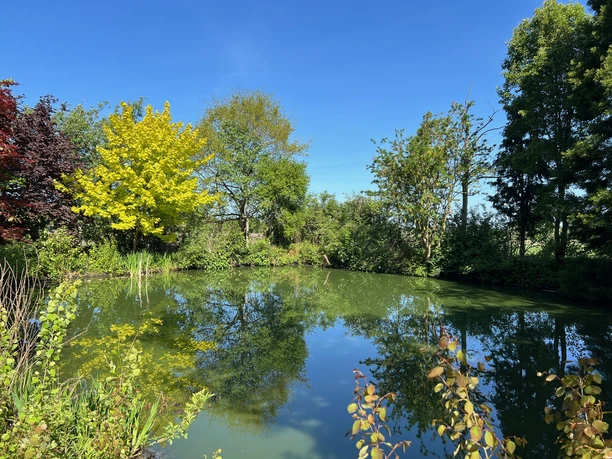 Camping am Teich beim Heibertshof