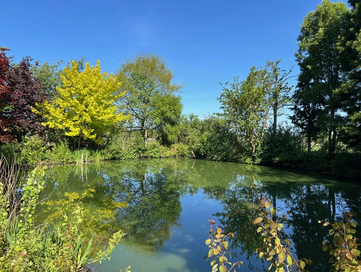 Camping am Teich beim Heibertshof
