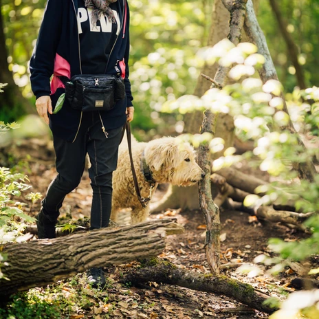 Eine Frau geht mit ihrem Hund im dicht begrünten Rosental in Leipzig spazierenA woman walks her dog in the leafy Rosental valley in LeipzigŽena venčí svého psa v listnatém údolí Rosental v Lipsku.Kobieta spaceruje z psem w zielonej dolinie Rosental w LipskuEen vrouw laat haar hond uit in het lommerrijke Rosental in LeipzigUna donna porta a spasso il suo cane nella verdeggiante valle Rosental di Lipsia