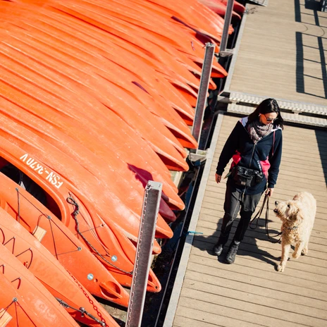 Eine Frau spaziert mit ihrem Hund auf einem Steg im Stadthafen Leipzig, wo zahlreiche Kajaks liegenA woman walks with her dog on a jetty in Leipzig city harbor, where numerous kayaks are mooredŽena se prochází se psem po molu v lipském přístavu, kde kotví řada kajaků.Kobieta spaceruje z psem po molo w porcie w Lipsku, gdzie zacumowane są liczne kajaki.Een vrouw wandelt met haar hond op een steiger in de stadshaven van Leipzig, waar talloze kajaks liggen aangemeerdUna donna passeggia con il suo cane su un molo del porto di Lipsia, dove sono ormeggiati numerosi kayak