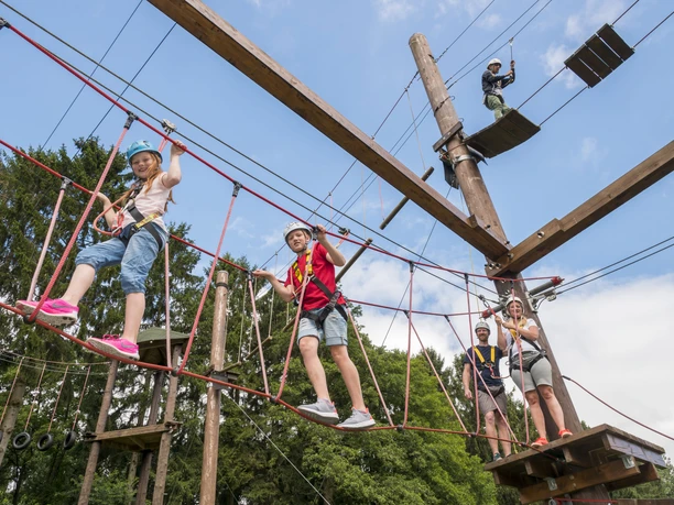 Hochseilgarten Dankern - Familienurlaub im Emsland ©Emsland Tourismus GmbH.jpg Kinder und Erwachsene klettern gesichert über Seile und Plattformen im Hochseilgarten unter freiem Himmel.