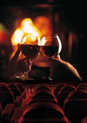Vino&Kino_Plakat_C_Hall Of Fame.jpg