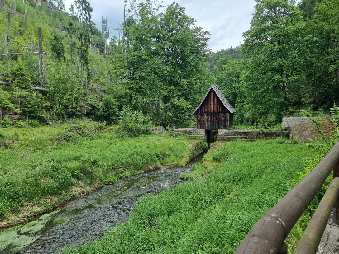 Niedere Schleuse Hinterhermsdorf Holzhütte an einem kleinen Bach, umgeben von üppigem Grün und Bäumen; ruhige, natürliche Atmosphäre.
