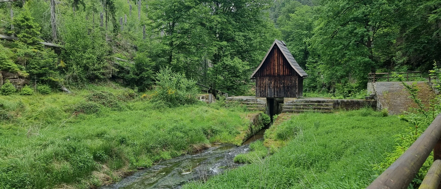 Niedere Schleuse Hinterhermsdorf Holzhütte an einem kleinen Bach, umgeben von üppigem Grün und Bäumen; ruhige, natürliche Atmosphäre.