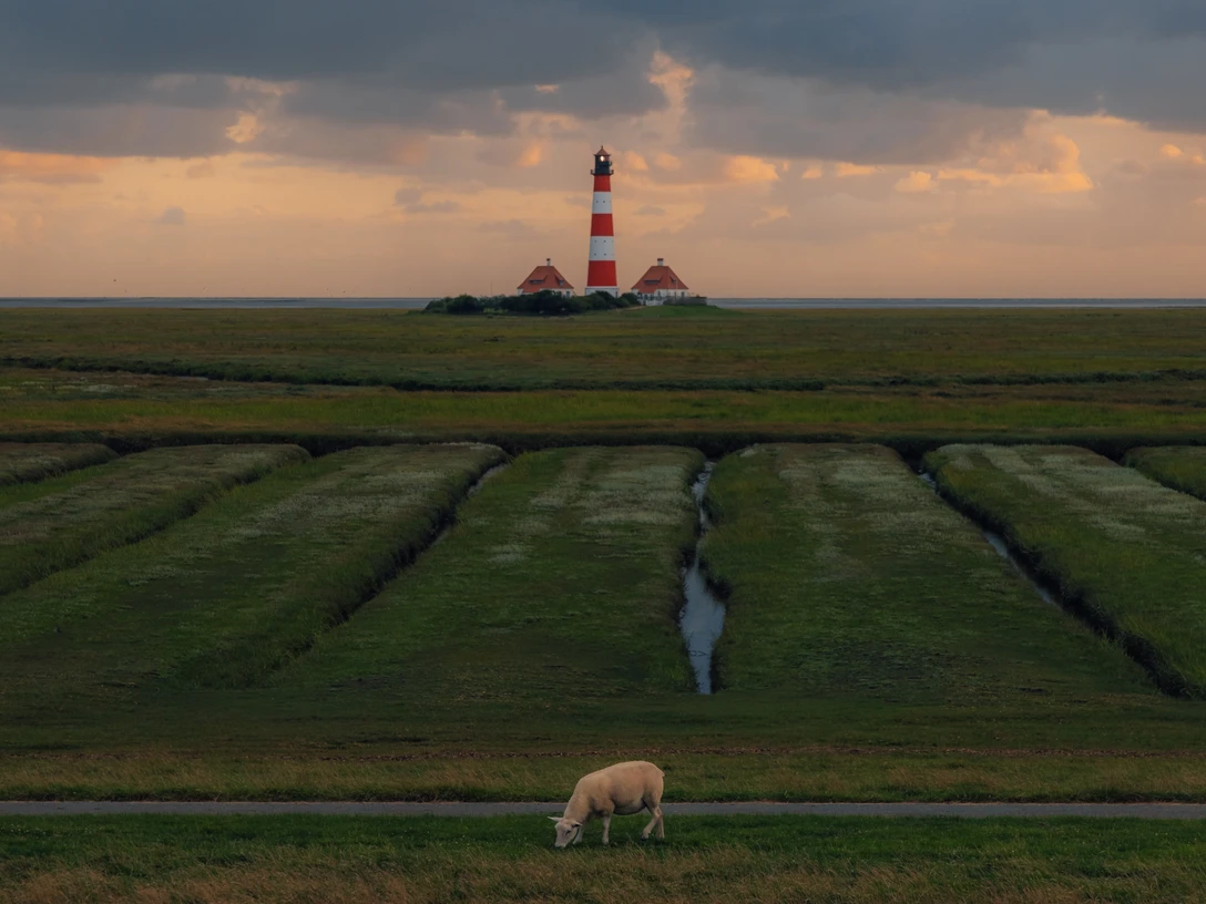 Marina Weishaupt Fokus Nordsee St. Peter-Ording