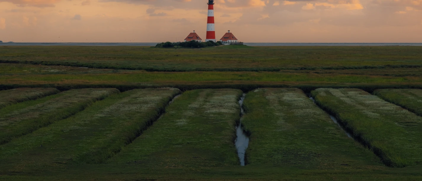 Marina Weishaupt Fokus Nordsee St. Peter-Ording