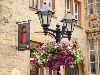 2023_Blumenampeln Tourist Information_Foto Max Wiesenbach (2) WEB.jpg