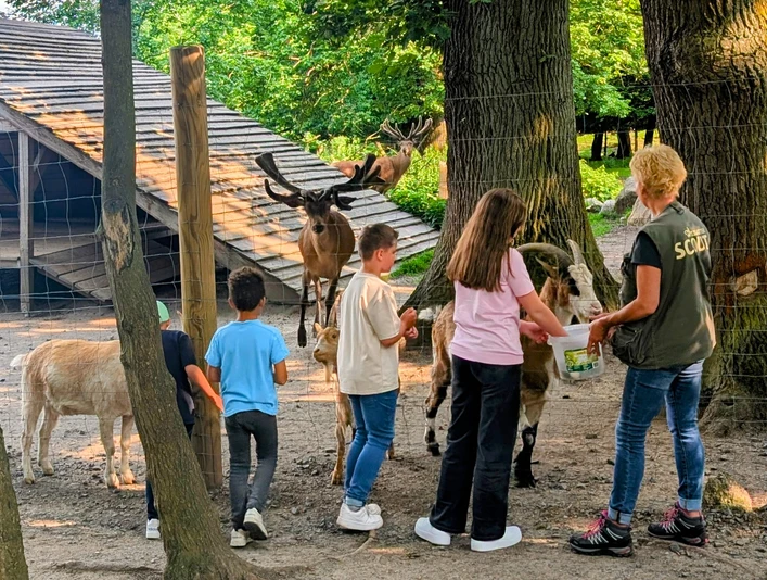 2025_Wildgatter_Kinder_Hildesheim Marketing (4)_bearbeitet.jpg