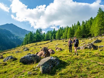 von der Alpe Waira in Richtung Tschawinersee