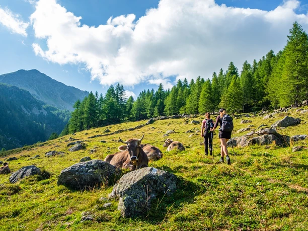 von der Alpe Waira in Richtung Tschawinersee