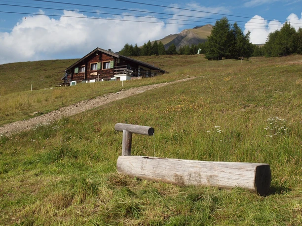 Rosswald Trog