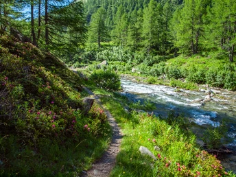 Nideralpe-Chlusmatte Simplon