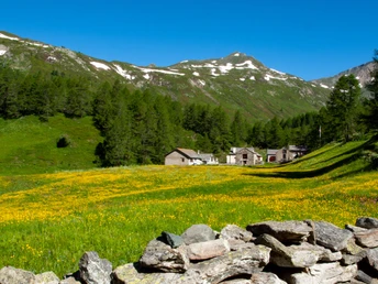 Nideralpe-Chlusmatte Simplon