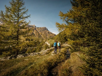 Wasserleite Chrummbacheri Simplon