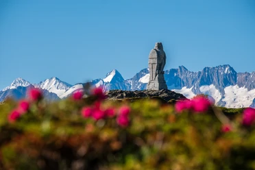 Simplon Adler