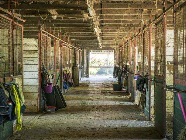Reitschule Mechtersen Stallungen der Reitschule Mechtersen