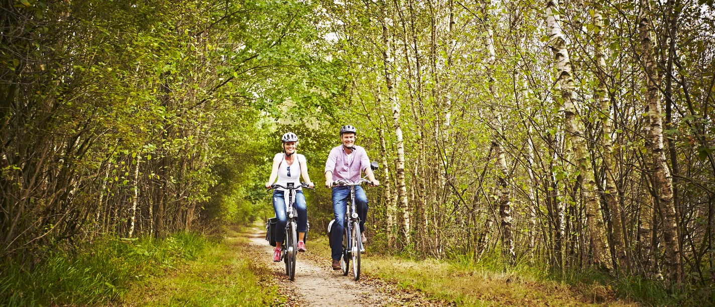 Radfahren 3 Gildehauser Venn_Touristinformation Bad Bentheim.jpg