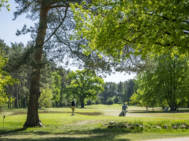 Auf dem Golfplatz in St. Dionys Golfspieler auf dem Golfplatz in St. Dionys
