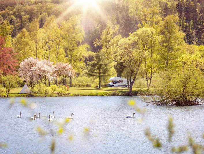 Camping- und Ferienpark Teichmann.jpg
