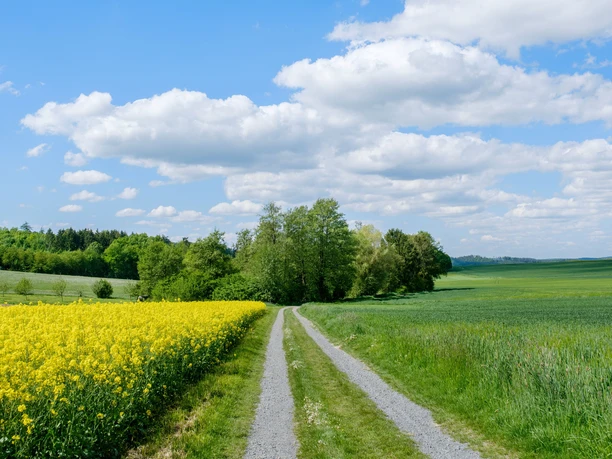 Offenland am Erzeberg