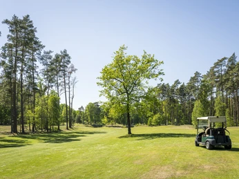 Auf dem Golfplatz in St. Dionys Caddy auf dem Golfplatz in St. Dionys