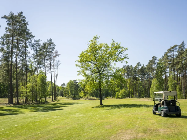 Auf dem Golfplatz in St. Dionys Caddy auf dem Golfplatz in St. Dionys