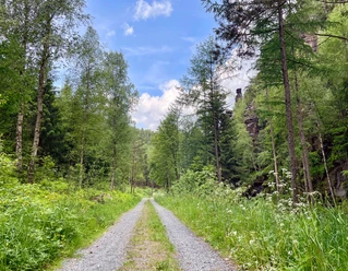 Im Tal der Dürren Biela