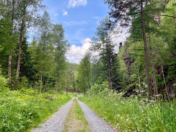 Im Tal der Dürren Biela