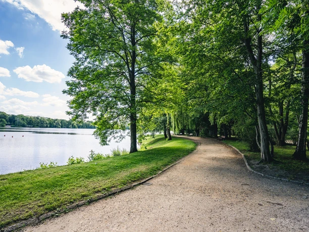 Park am Schwanenteich Zwickau