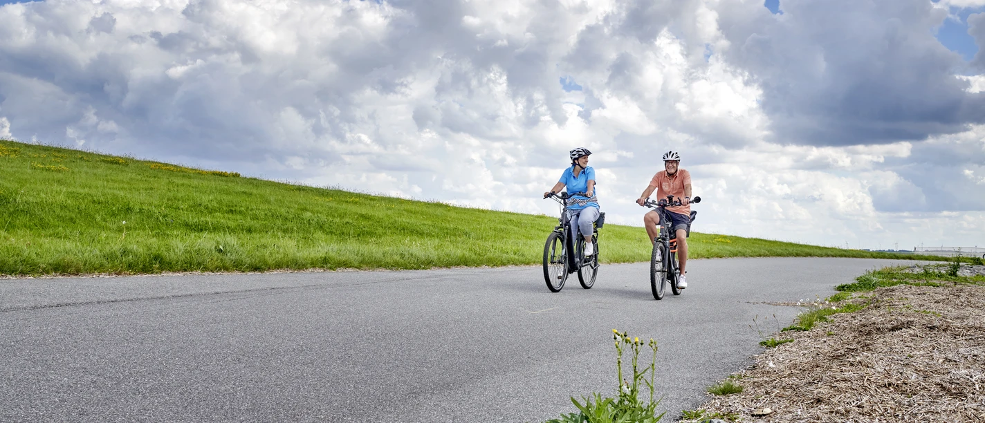 Radeln-am-Elbdeich-DT